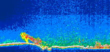 /calipso-imagery/data/BROWSE/production/V5-00/2012-09-13/2012-09-13_09-19-14_V5.00_1_thmb.png image missing