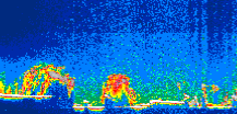 /calipso-imagery/data/BROWSE/production/V5-00/2012-09-13/2012-09-13_15-54-45_V5.00_1_thmb.png image missing
