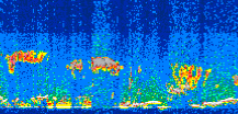 /calipso-imagery/data/BROWSE/production/V5-00/2012-09-14/2012-09-14_00-09-11_V5.00_3_thmb.png image missing