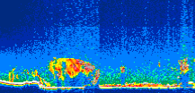 /calipso-imagery/data/BROWSE/production/V5-00/2012-09-16/2012-09-16_01-35-33_V5.00_1_thmb.png image missing