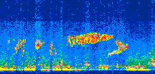 /calipso-imagery/data/BROWSE/production/V5-00/2012-09-18/2012-09-18_01-22-59_V5.00_3_thmb.png image missing