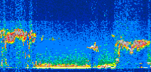 /calipso-imagery/data/BROWSE/production/V5-00/2012-09-18/2012-09-18_03-01-49_V5.00_3_thmb.png image missing