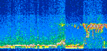 /calipso-imagery/data/BROWSE/production/V5-00/2012-09-18/2012-09-18_07-58-30_V5.00_2_thmb.png image missing