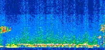 /calipso-imagery/data/BROWSE/production/V5-00/2012-09-18/2012-09-18_21-09-32_V5.00_2_thmb.png image missing