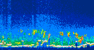 /calipso-imagery/data/BROWSE/production/V5-00/2012-09-19/2012-09-19_05-23-53_V5.00_4_thmb.png image missing