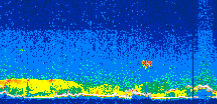 /calipso-imagery/data/BROWSE/production/V5-00/2012-09-19/2012-09-19_10-20-33_V5.00_3_thmb.png image missing