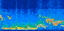 /calipso-imagery/data/BROWSE/production/V5-00/2012-09-23/2012-09-23_00-02-10_V5.00_3_thmb.png image missing