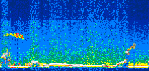 /calipso-imagery/data/BROWSE/production/V5-00/2012-09-23/2012-09-23_21-27-33_V5.00_3_thmb.png image missing
