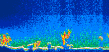 /calipso-imagery/data/BROWSE/production/V5-00/2012-09-24/2012-09-24_02-24-13_V5.00_1_thmb.png image missing