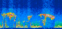 /calipso-imagery/data/BROWSE/production/V5-00/2012-09-24/2012-09-24_02-24-13_V5.00_3_thmb.png image missing
