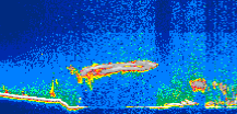 /calipso-imagery/data/BROWSE/production/V5-00/2012-09-24/2012-09-24_17-14-05_V5.00_1_thmb.png image missing