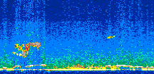 /calipso-imagery/data/BROWSE/production/V5-00/2012-09-24/2012-09-24_20-31-51_V5.00_2_thmb.png image missing