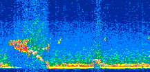 /calipso-imagery/data/BROWSE/production/V5-00/2012-09-24/2012-09-24_22-10-41_V5.00_2_thmb.png image missing