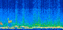 /calipso-imagery/data/BROWSE/production/V5-00/2012-09-25/2012-09-25_19-36-09_V5.00_2_thmb.png image missing