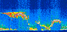 /calipso-imagery/data/BROWSE/production/V5-00/2012-09-27/2012-09-27_04-33-38_V5.00_3_thmb.png image missing