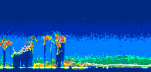 /calipso-imagery/data/BROWSE/production/V5-00/2012-09-27/2012-09-27_07-05-03_V5.00_2_thmb.png image missing