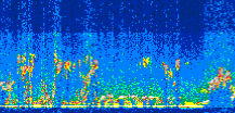 /calipso-imagery/data/BROWSE/production/V5-00/2012-09-27/2012-09-27_16-05-50_V5.00_3_thmb.png image missing
