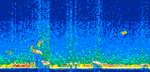 /calipso-imagery/data/BROWSE/production/V5-00/2012-09-27/2012-09-27_21-02-25_V5.00_2_thmb.png image missing