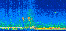 /calipso-imagery/data/BROWSE/production/V5-00/2012-09-27/2012-09-27_22-41-21_V5.00_2_thmb.png image missing