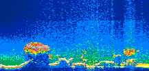 /calipso-imagery/data/BROWSE/production/V5-00/2012-10-09/2012-10-09_01-39-21_V5.00_1_thmb.png image missing