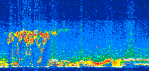/calipso-imagery/data/BROWSE/production/V5-00/2012-10-09/2012-10-09_04-57-07_V5.00_3_thmb.png image missing