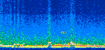 /calipso-imagery/data/BROWSE/production/V5-00/2012-10-09/2012-10-09_21-25-54_V5.00_2_thmb.png image missing