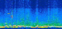 /calipso-imagery/data/BROWSE/production/V5-00/2012-10-09/2012-10-09_21-25-54_V5.00_3_thmb.png image missing
