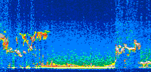 /calipso-imagery/data/BROWSE/production/V5-00/2012-10-18/2012-10-18_03-11-05_V5.00_3_thmb.png image missing