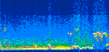 /calipso-imagery/data/BROWSE/production/V5-00/2012-10-19/2012-10-19_02-15-23_V5.00_3_thmb.png image missing