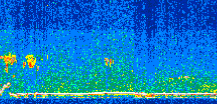 /calipso-imagery/data/BROWSE/production/V5-00/2012-10-19/2012-10-19_13-47-30_V5.00_2_thmb.png image missing