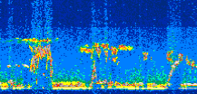 /calipso-imagery/data/BROWSE/production/V5-00/2012-10-19/2012-10-19_15-26-25_V5.00_3_thmb.png image missing