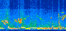 /calipso-imagery/data/BROWSE/production/V5-00/2012-10-23/2012-10-23_00-11-16_V5.00_2_thmb.png image missing