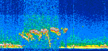 /calipso-imagery/data/BROWSE/production/V5-00/2012-10-23/2012-10-23_10-04-32_V5.00_2_thmb.png image missing