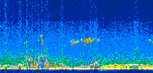 /calipso-imagery/data/BROWSE/production/V5-00/2012-10-23/2012-10-23_15-01-13_V5.00_3_thmb.png image missing