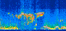 /calipso-imagery/data/BROWSE/production/V5-00/2012-11-28/2012-11-28_03-01-02_V5.00_3_thmb.png image missing