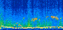/calipso-imagery/data/BROWSE/production/V5-00/2012-11-28/2012-11-28_07-57-38_V5.00_2_thmb.png image missing