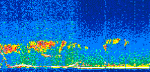 /calipso-imagery/data/BROWSE/production/V5-00/2012-11-28/2012-11-28_19-29-50_V5.00_2_thmb.png image missing