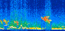 /calipso-imagery/data/BROWSE/production/V5-00/2012-12-28/2012-12-28_21-20-47_V5.00_2_thmb.png image missing