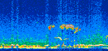 /calipso-imagery/data/BROWSE/production/V5-00/2012-12-28/2012-12-28_21-20-47_V5.00_3_thmb.png image missing