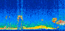 /calipso-imagery/data/BROWSE/production/V5-00/2013-01-28/2013-01-28_07-28-14_V5.00_3_thmb.png image missing