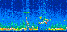 /calipso-imagery/data/BROWSE/production/V5-00/2013-01-28/2013-01-28_20-39-26_V5.00_3_thmb.png image missing