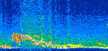 /calipso-imagery/data/BROWSE/production/V5-00/2013-01-29/2013-01-29_04-53-52_V5.00_2_thmb.png image missing