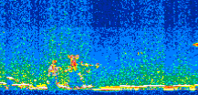 /calipso-imagery/data/BROWSE/production/V5-00/2013-01-29/2013-01-29_13-08-18_V5.00_2_thmb.png image missing