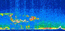 /calipso-imagery/data/BROWSE/production/V5-00/2013-01-29/2013-01-29_13-08-18_V5.00_3_thmb.png image missing