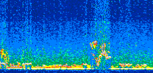 /calipso-imagery/data/BROWSE/production/V5-00/2013-01-29/2013-01-29_14-47-13_V5.00_2_thmb.png image missing