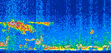 /calipso-imagery/data/BROWSE/production/V5-00/2013-01-29/2013-01-29_16-26-09_V5.00_3_thmb.png image missing