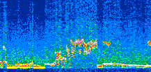 /calipso-imagery/data/BROWSE/production/V5-00/2013-01-29/2013-01-29_21-22-44_V5.00_3_thmb.png image missing