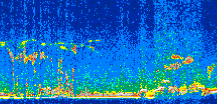 /calipso-imagery/data/BROWSE/production/V5-00/2013-01-30/2013-01-30_05-37-15_V5.00_3_thmb.png image missing