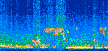 /calipso-imagery/data/BROWSE/production/V5-00/2013-01-30/2013-01-30_08-55-01_V5.00_2_thmb.png image missing