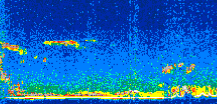 /calipso-imagery/data/BROWSE/production/V5-00/2013-01-30/2013-01-30_08-55-01_V5.00_3_thmb.png image missing